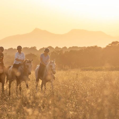 Cal Robusto, Apartament In Masia With Horses Siurana  Extérieur photo