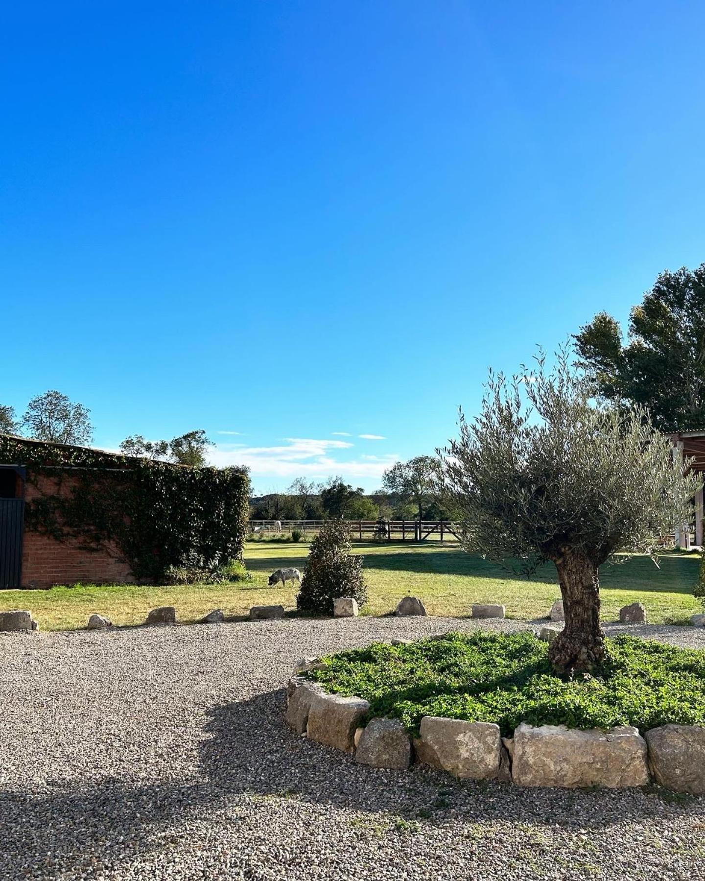 Cal Robusto, Apartament In Masia With Horses Siurana  Extérieur photo