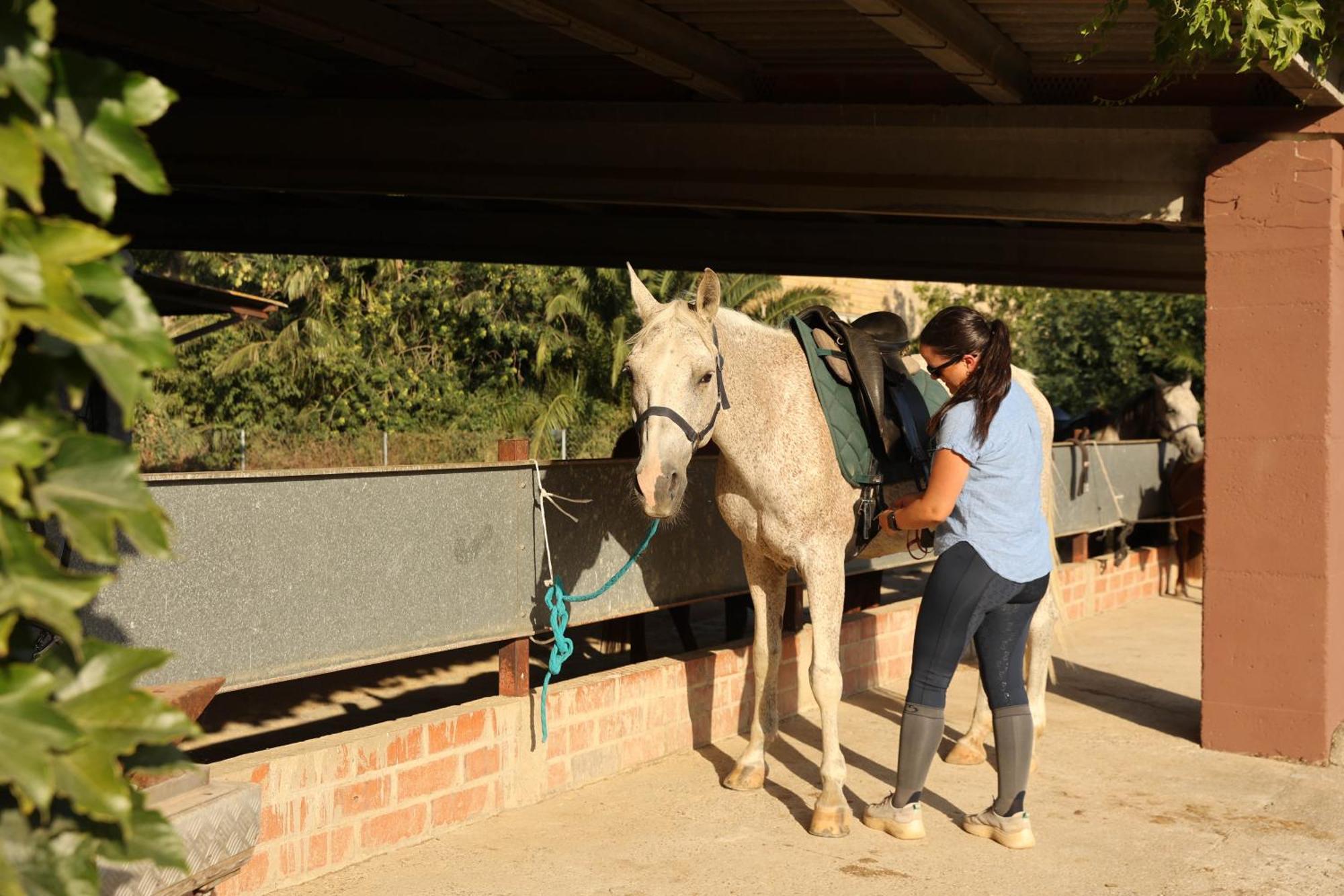 Cal Robusto, Apartament In Masia With Horses Siurana  Extérieur photo