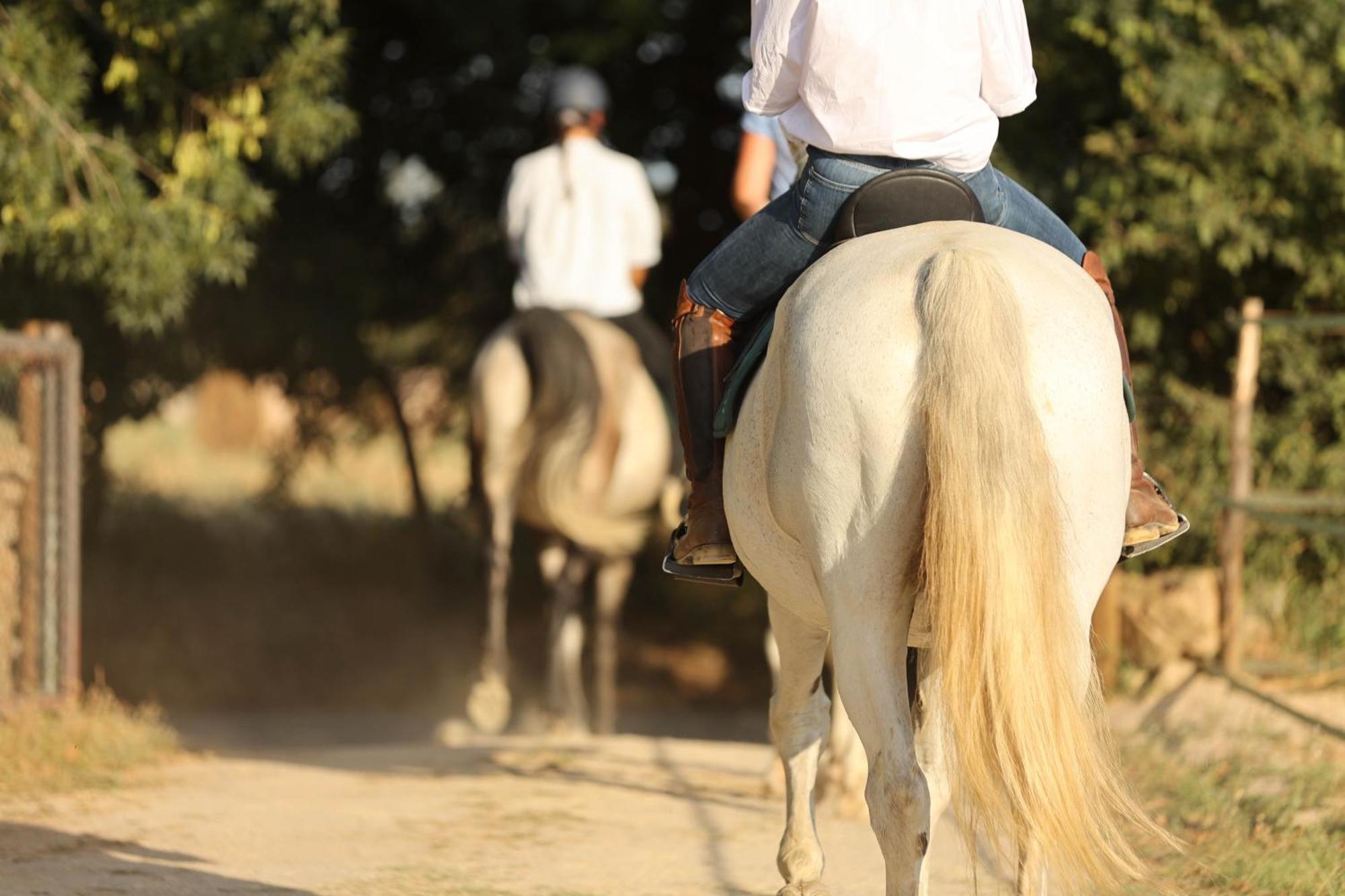 Cal Robusto, Apartament In Masia With Horses Siurana  Extérieur photo