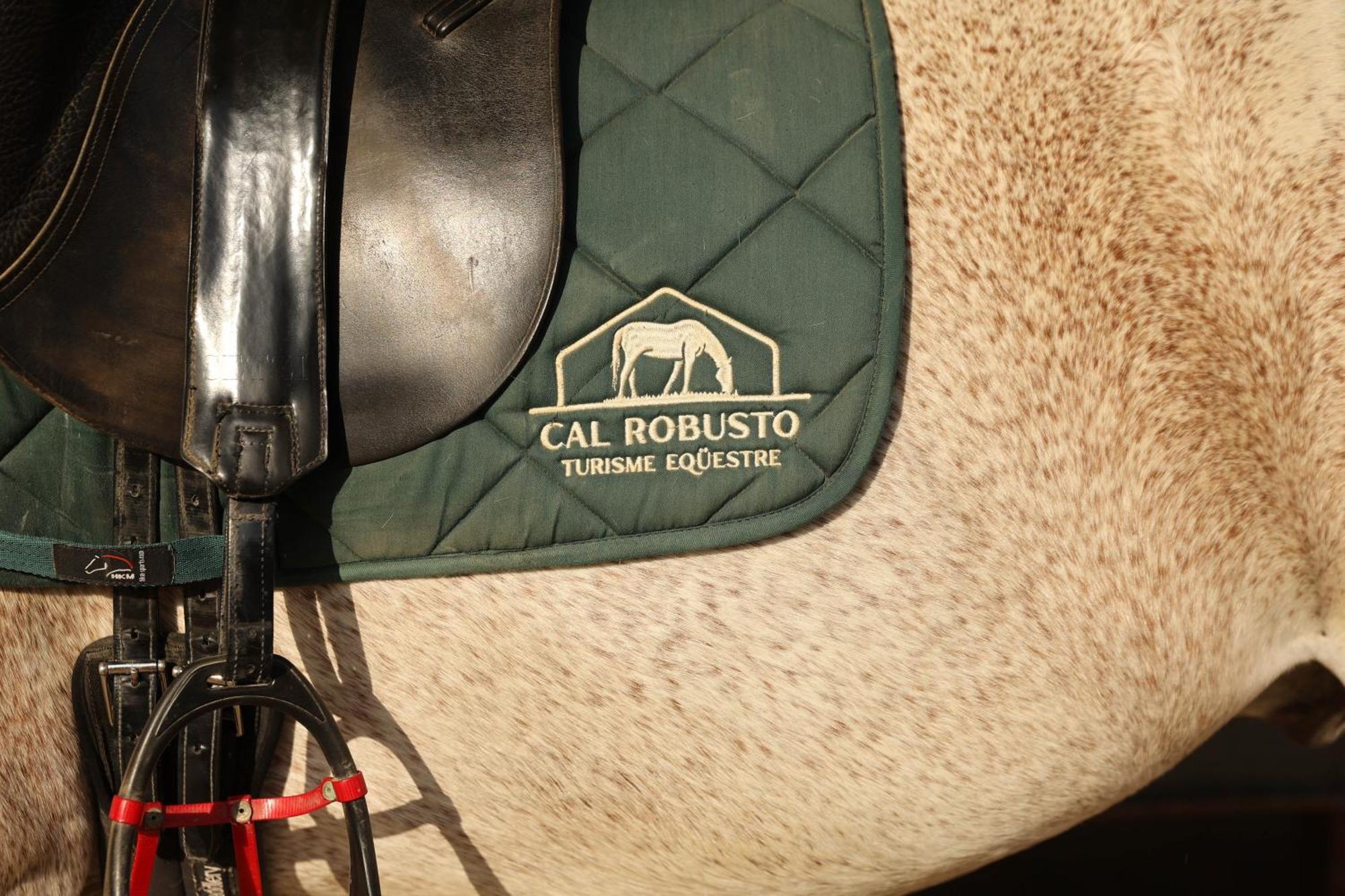 Cal Robusto, Apartament In Masia With Horses Siurana  Extérieur photo