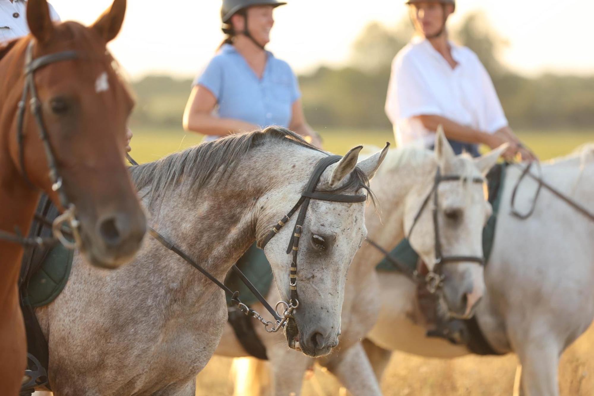 Cal Robusto, Apartament In Masia With Horses Siurana  Extérieur photo